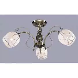 Потолочный светильник РОССВЕТ