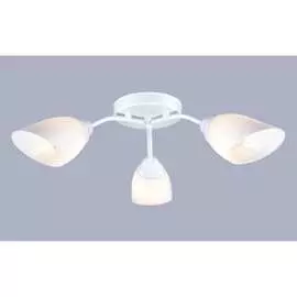 Потолочный светильник РОССВЕТ