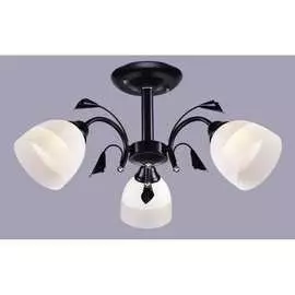 Потолочный светильник РОССВЕТ