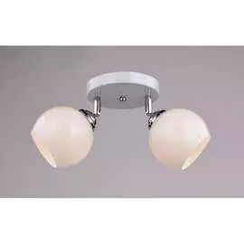 Потолочный светильник РОССВЕТ