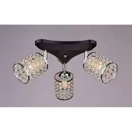 Потолочный светильник РОССВЕТ