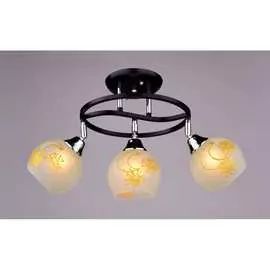 Потолочный светильник РОССВЕТ