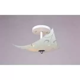 Потолочный светильник РОССВЕТ