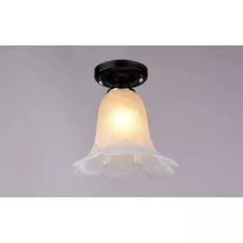 Потолочный светильник РОССВЕТ