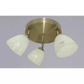 Потолочный светильник РОССВЕТ