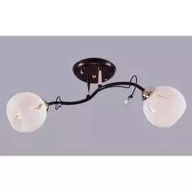 Потолочный светильник РОССВЕТ