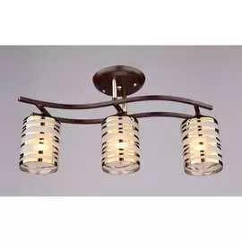 Потолочный светильник РОССВЕТ