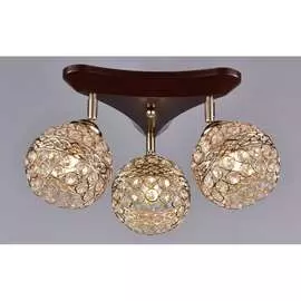 Потолочный светильник РОССВЕТ