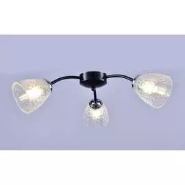 Потолочный светильник РОССВЕТ