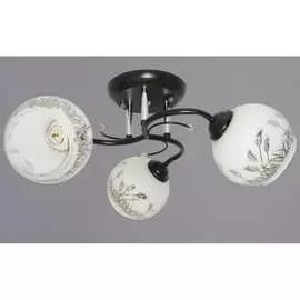 Потолочный светильник РОССВЕТ