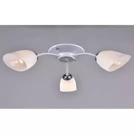 Потолочный светильник РОССВЕТ 21542 WT+CR/3C