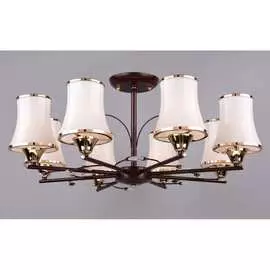 Потолочный светильник РОССВЕТ