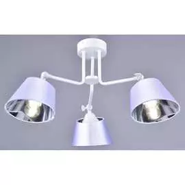 Потолочный светильник РОССВЕТ