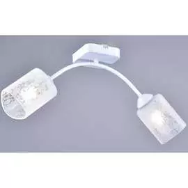 Потолочный светильник РОССВЕТ