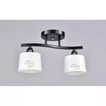 Потолочный светильник РОССВЕТ