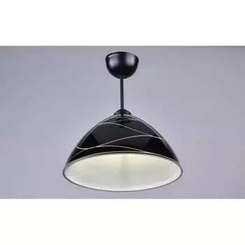 Потолочный светильник РОССВЕТ 20209 BK/1C