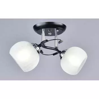 Потолочный светильник РОССВЕТ