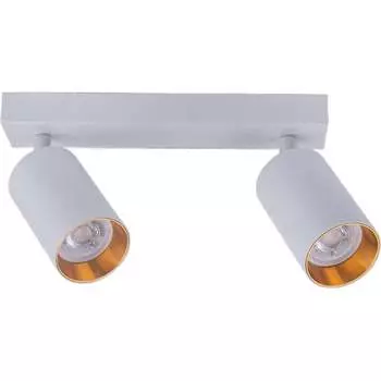 Потолочный светильник спот BRIZZI BR08084