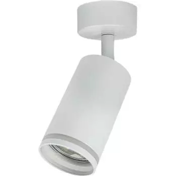 Потолочный светильник спот BRIZZI BR08077