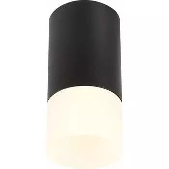 Потолочный светильник ST luce ST100.412.01