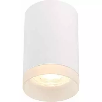 Потолочный светильник ST luce ST100.502.01