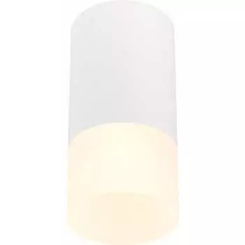 Потолочный светильник ST luce ST100.512.01