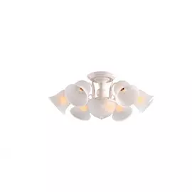Потолочный светильник ARTE LAMP