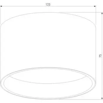 Потолочный светодиодный светильник Elektrostandard a063929