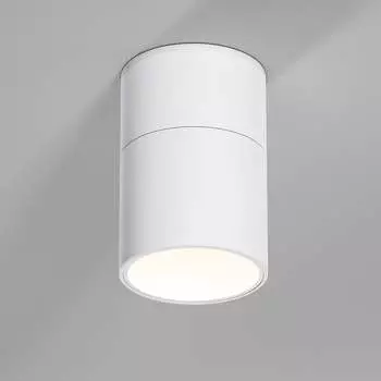 Потолочный светодиодный светильник Elektrostandard Rolly a067487