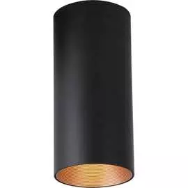 Потолочный светодиодный светильник FAVOURITE