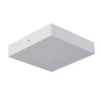 Потолочный светодиодный светильник FAVOURITE