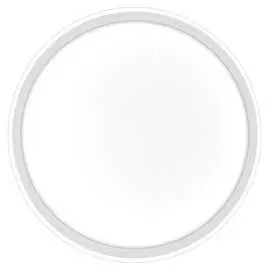 Потолочный светодиодный светильник FERON AL5801 41559