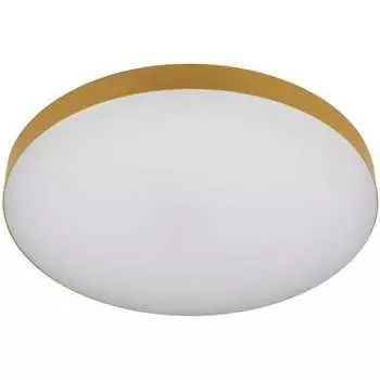 Потолочный светодиодный светильник ЭРА Б0059498