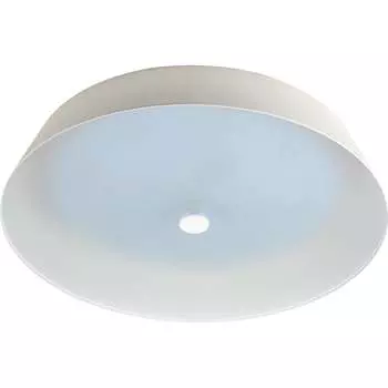 Потолочный светодиодный светильник ЭРА Б0053316