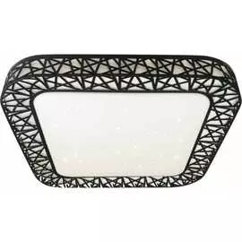 Потолочный светодиодный светильник LEEK