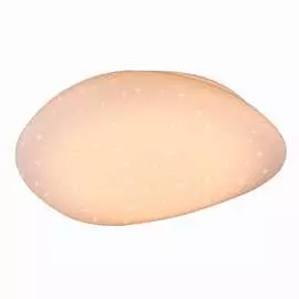 Потолочный светодиодный светильник LEEK