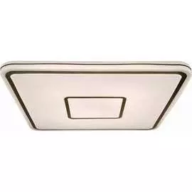 Потолочный светодиодный светильник LEEK