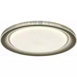 Потолочный светодиодный светильник LEEK