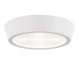 Потолочный светодиодный светильник Lightstar 214904