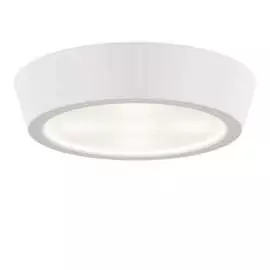 Потолочный светодиодный светильник Lightstar 214902