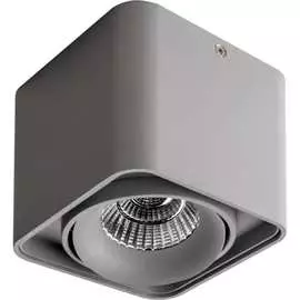 Потолочный светодиодный светильник Lightstar