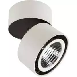 Потолочный светодиодный светильник Lightstar 214830