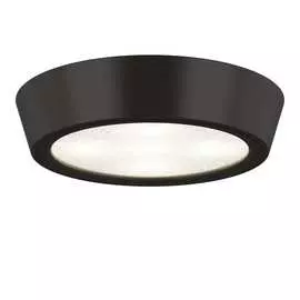 Потолочный светодиодный светильник Lightstar 214974