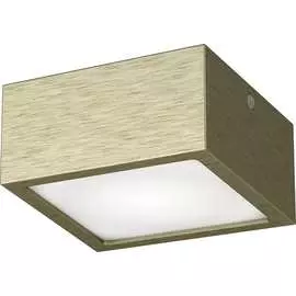 Потолочный светодиодный светильник Lightstar