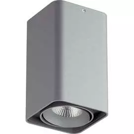 Потолочный светодиодный светильник Lightstar 052139