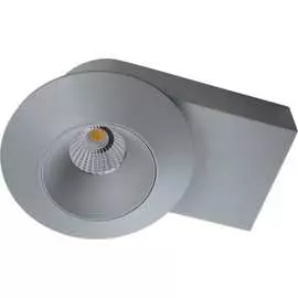 Потолочный светодиодный светильник Lightstar 51219