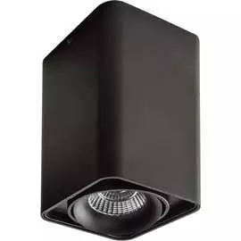 Потолочный светодиодный светильник Lightstar