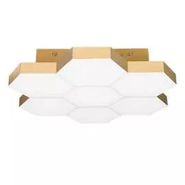 Потолочный светодиодный светильник Lightstar 750071