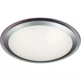 Потолочный светодиодный светильник Omnilux