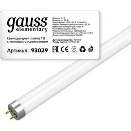 Поворотная лампа Gauss Elementary 93029-R